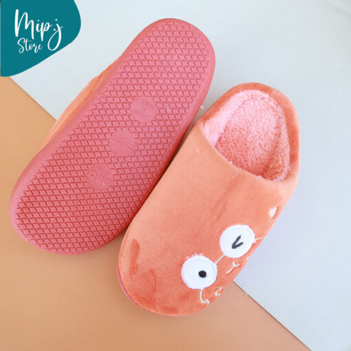 Foggy Velvet Warm Slippers for adults